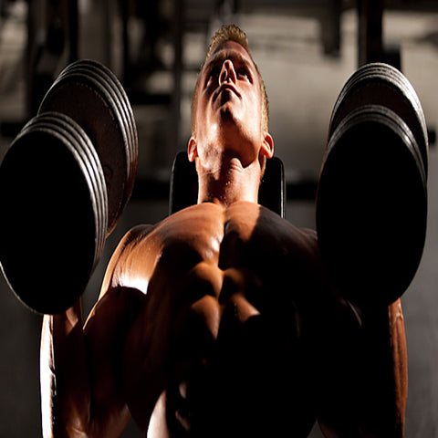 Muscle Building