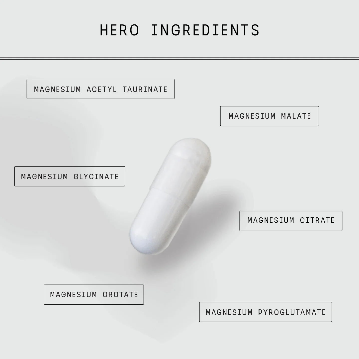 Switch Nutrition - Multi-Mag Perform Caps