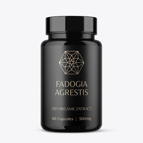 Natures Body - Fadogia Agrestis