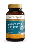 Herbs of Gold - Mushroom 5