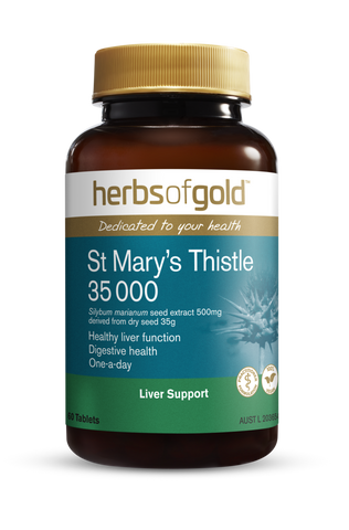 Herbs of Gold - St Mary's Thistle